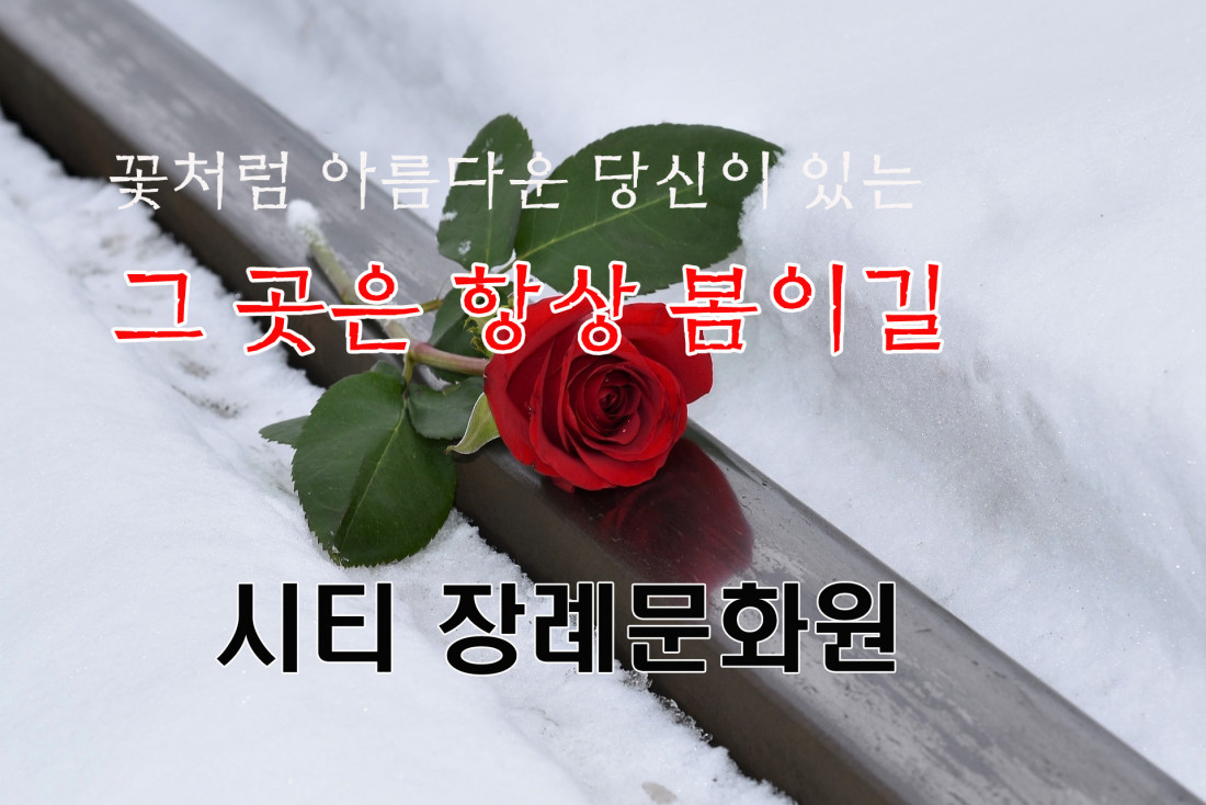 시티장례문화원을 칭찬합니다. 